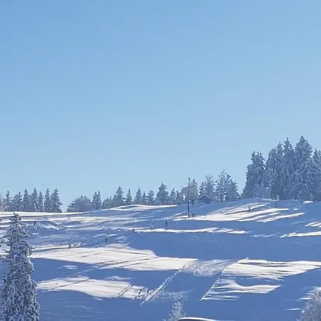 Beim Ivo *